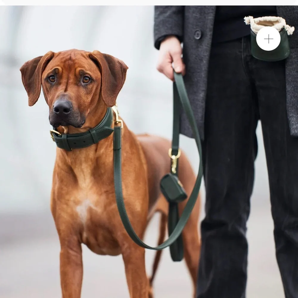 WILLIAM WALKER LEASH LEATHER